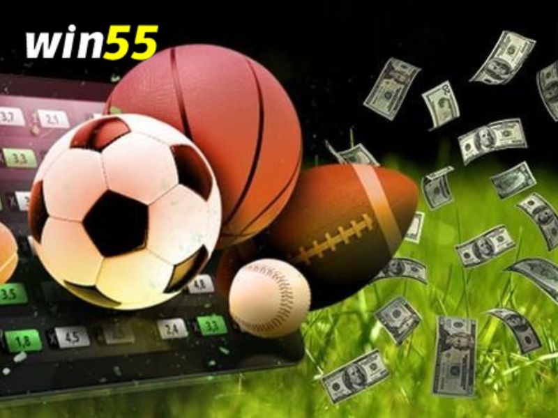 Nắm rõ luật chơi khi tham gia thể thao Win55
