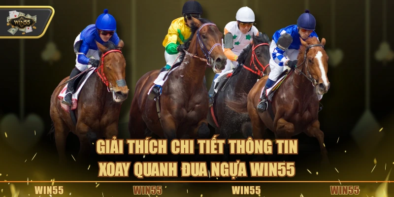 Giải thích chi tiết thông tin xoay quanh đua ngựa Win55