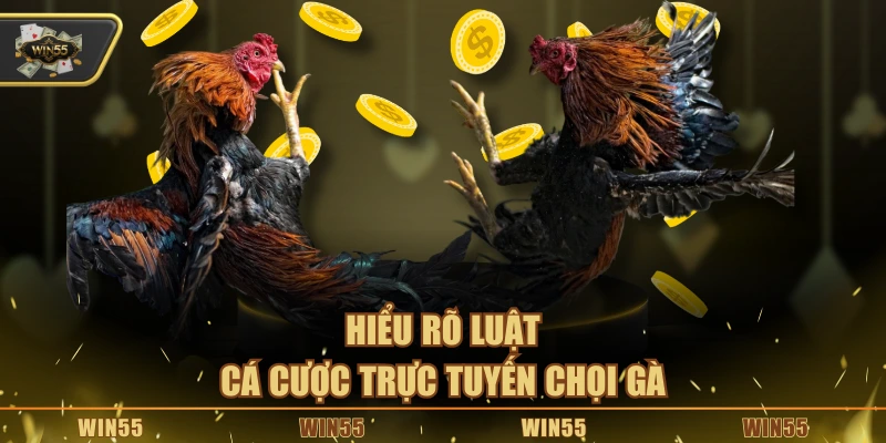 Hiểu rõ luật cá cược trực tuyến chọi gà
