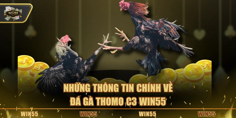 Những thông tin chính về đá gà Thomo C3 Win55