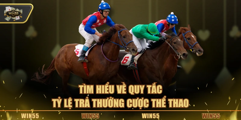 Tìm hiểu về quy tắc, tỷ lệ trả thưởng cược thể thao